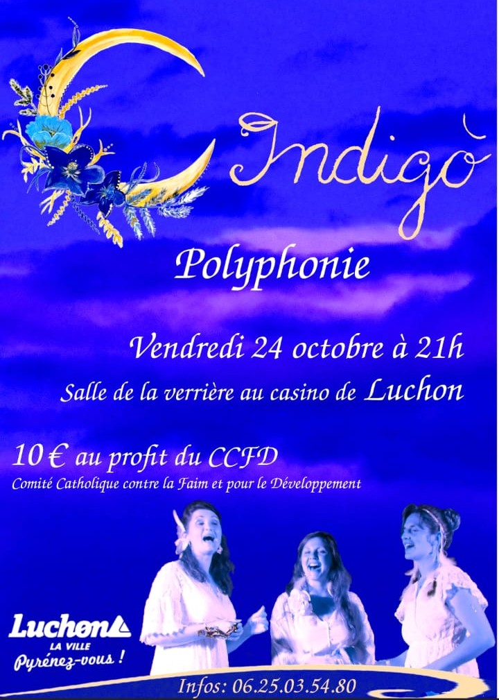 Le Trio INDIGO
