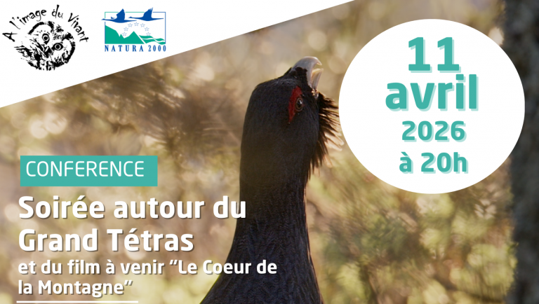 Le Cœur de la Montagne