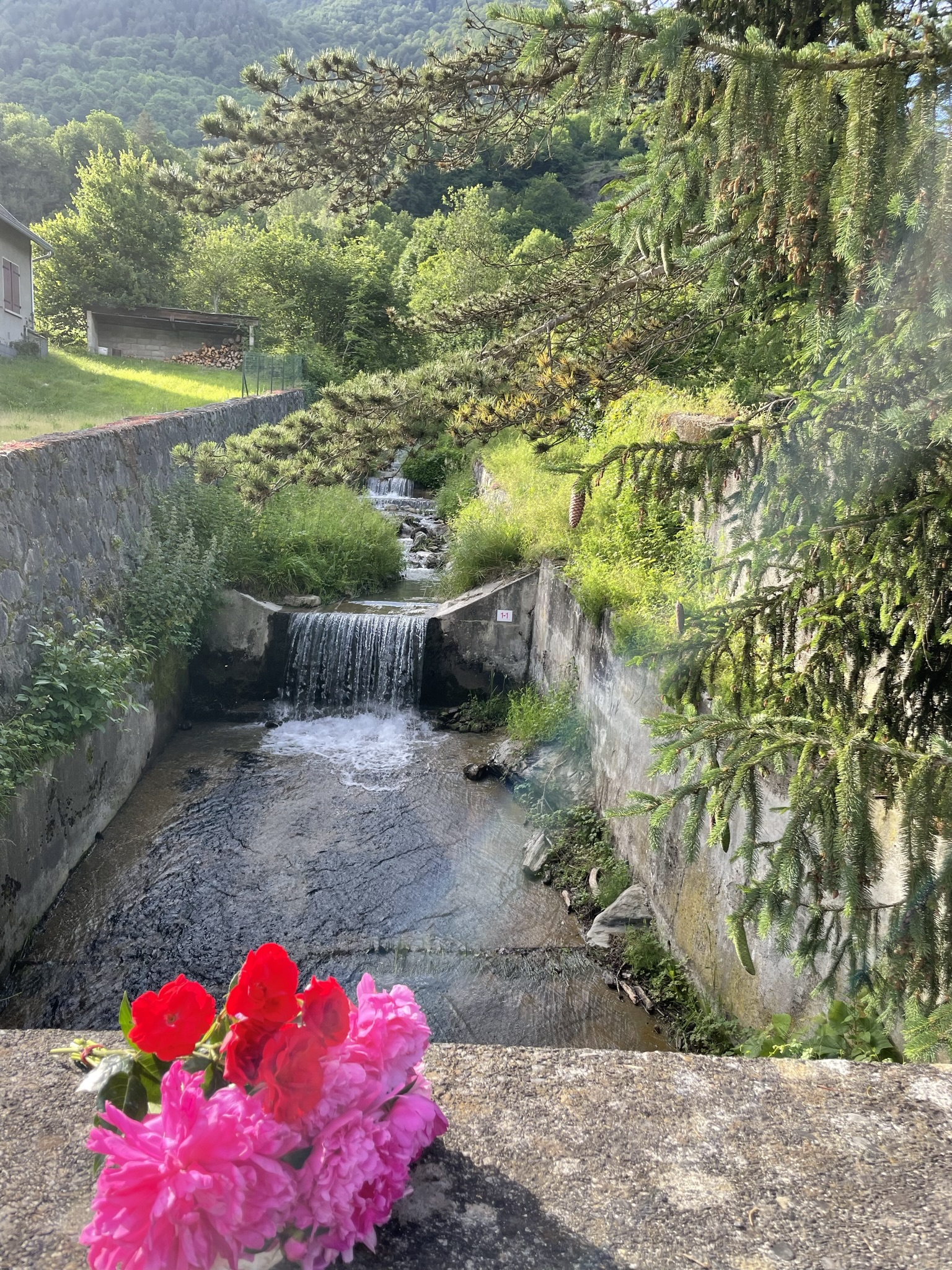 Cier de Luchon