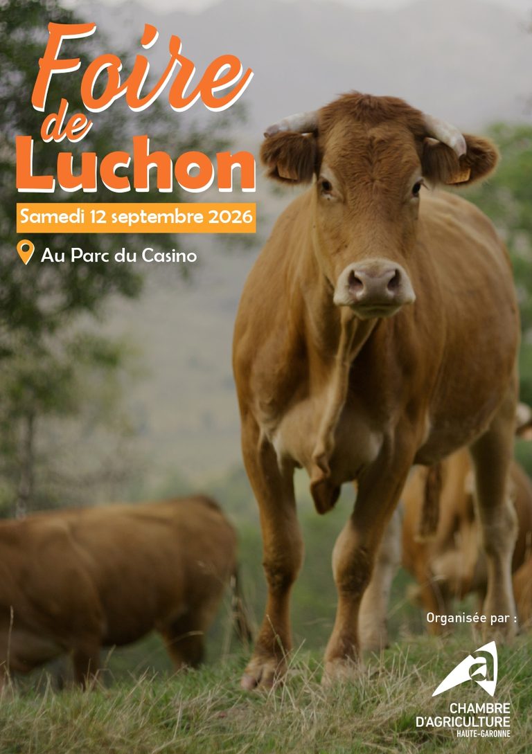 Foire de Luchon le Samedi 12 septembre